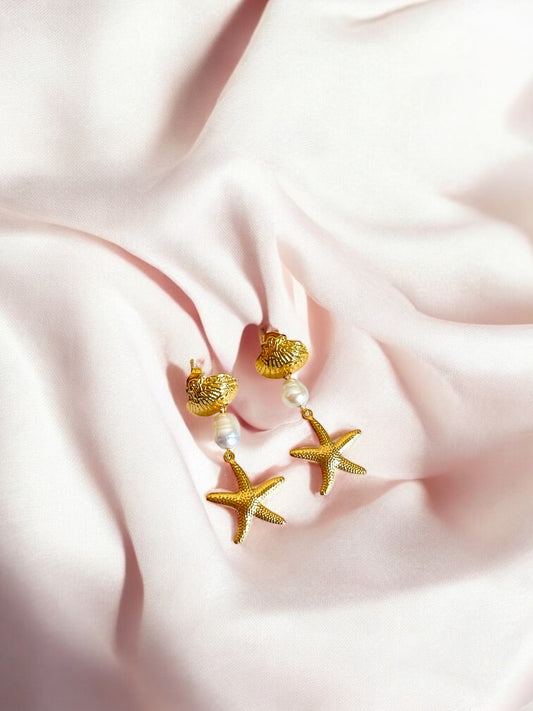 Casing Starfish